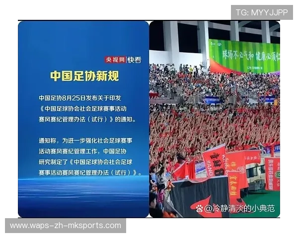 比赛因球迷事件中止，足协介入调查